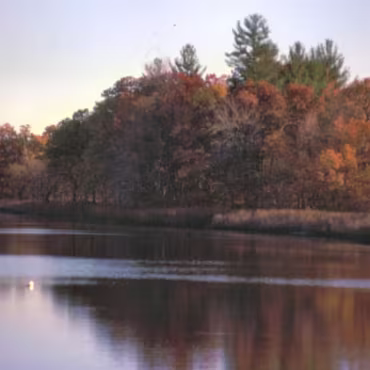 Odds and Sods All of these photographs were taken with my Canon F1 and scanned from the slides. Quality is therefore somewhat lacking!