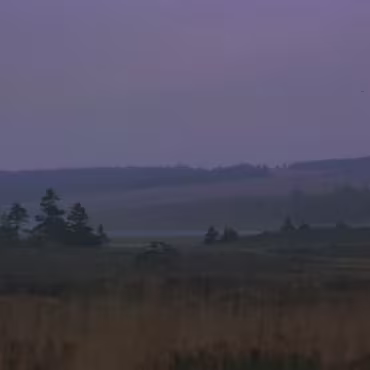 Odds and Sods All of these photographs were taken with my Canon F1 and scanned from the slides. Quality is therefore somewhat lacking!