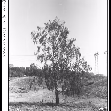 Vigeland Park, Oslo All of these photographs were taken with my Canon F1 and scanned from the slides. Quality is therefore somewhat lacking!
