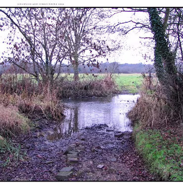 Ringwood, Hampshire, UK Nestled at the edge (now) of the New Forest, Ringwood is my home town in the UK