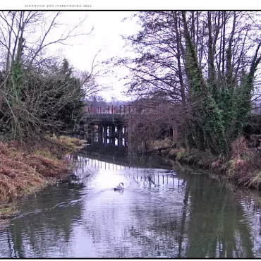 Ringwood, Hampshire, UK Nestled at the edge (now) of the New Forest, Ringwood is my home town in the UK