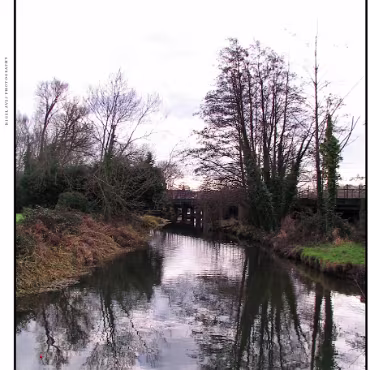 Ringwood, Hampshire, UK Nestled at the edge (now) of the New Forest, Ringwood is my home town in the UK