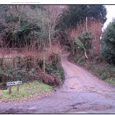 Ringwood, Hampshire, UK Nestled at the edge (now) of the New Forest, Ringwood is my home town in the UK