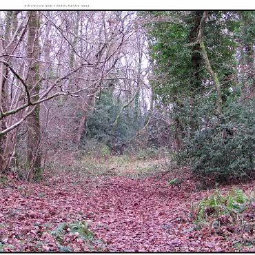 Ringwood, Hampshire, UK Nestled at the edge (now) of the New Forest, Ringwood is my home town in the UK