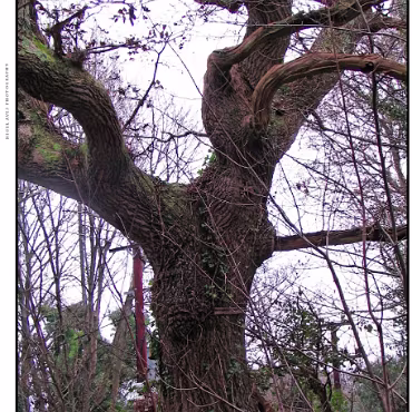 Ringwood, Hampshire, UK Nestled at the edge (now) of the New Forest, Ringwood is my home town in the UK