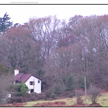 Ringwood, Hampshire, UK Nestled at the edge (now) of the New Forest, Ringwood is my home town in the UK