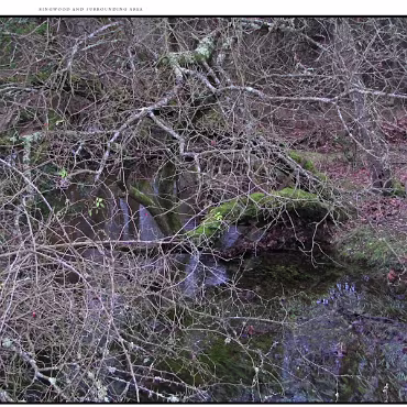 Ringwood, Hampshire, UK Nestled at the edge (now) of the New Forest, Ringwood is my home town in the UK