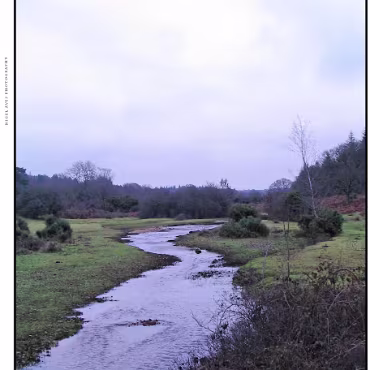 Ringwood, Hampshire, UK Nestled at the edge (now) of the New Forest, Ringwood is my home town in the UK