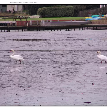 Christchurch Harbour Just down the road from Ringwood is the area called Mudiford. I think you'll understand the name!