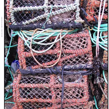 Christchurch Harbour Just down the road from Ringwood is the area called Mudiford. I think you'll understand the name!