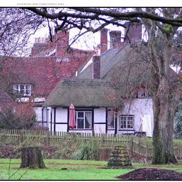 Ringwood, Hampshire, UK Nestled at the edge (now) of the New Forest, Ringwood is my home town in the UK