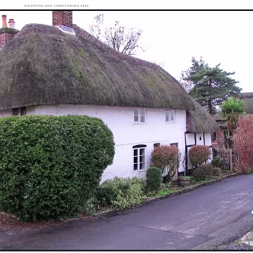 Ringwood, Hampshire, UK Nestled at the edge (now) of the New Forest, Ringwood is my home town in the UK