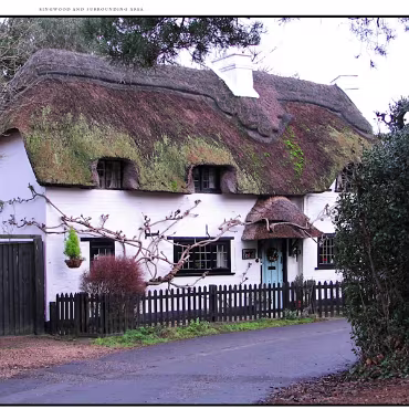 Ringwood, Hampshire, UK Nestled at the edge (now) of the New Forest, Ringwood is my home town in the UK