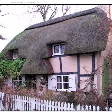Ringwood, Hampshire, UK Nestled at the edge (now) of the New Forest, Ringwood is my home town in the UK