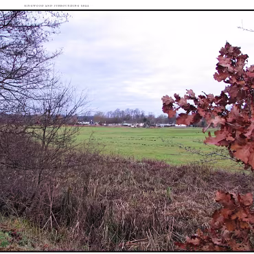 Ringwood, Hampshire, UK Nestled at the edge (now) of the New Forest, Ringwood is my home town in the UK