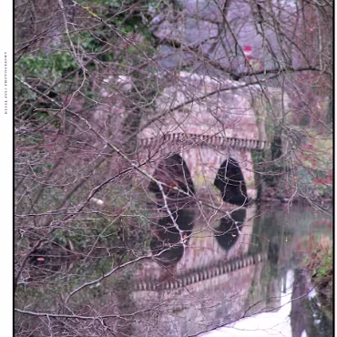 Ringwood, Hampshire, UK Nestled at the edge (now) of the New Forest, Ringwood is my home town in the UK