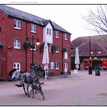Ringwood, Hampshire, UK Nestled at the edge (now) of the New Forest, Ringwood is my home town in the UK