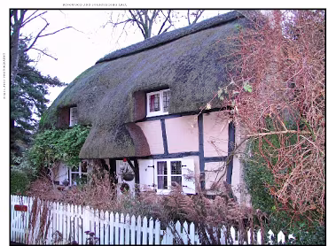 Thatched Cottages