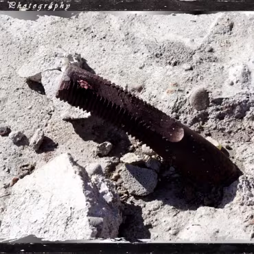 Worn Out By Time A long ago abandoned mine just west of Denver.