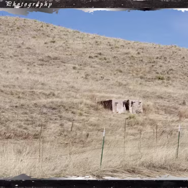 Worn Out By Time A long ago abandoned mine just west of Denver.